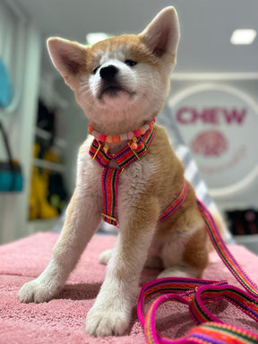 Ibiza Pink leiband aanpasbaar