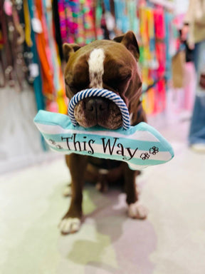 Beach Sign