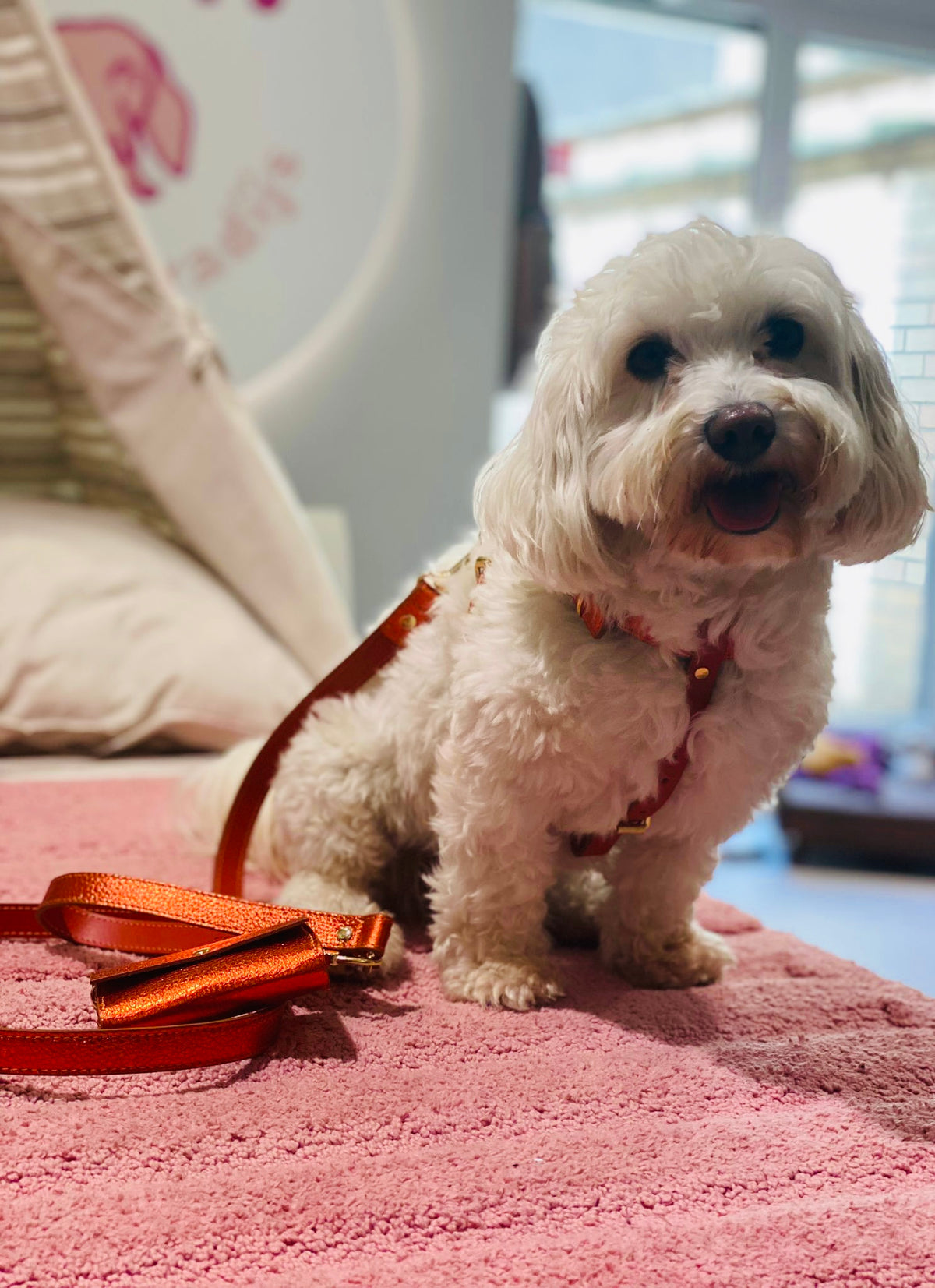 Metallic harness orange