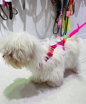 Laavida neon pink harnas