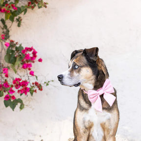 Wedding Pink Lady strik