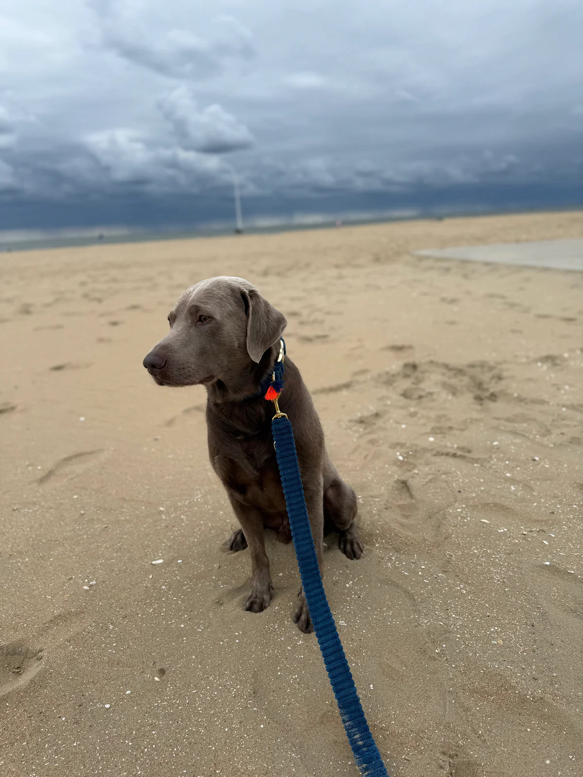 Flauschiger Deluxe Leiband Blau