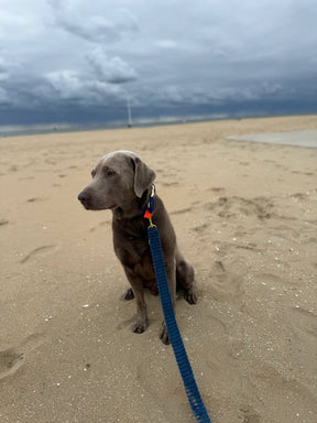 Flauschiger Deluxe Leiband Blau