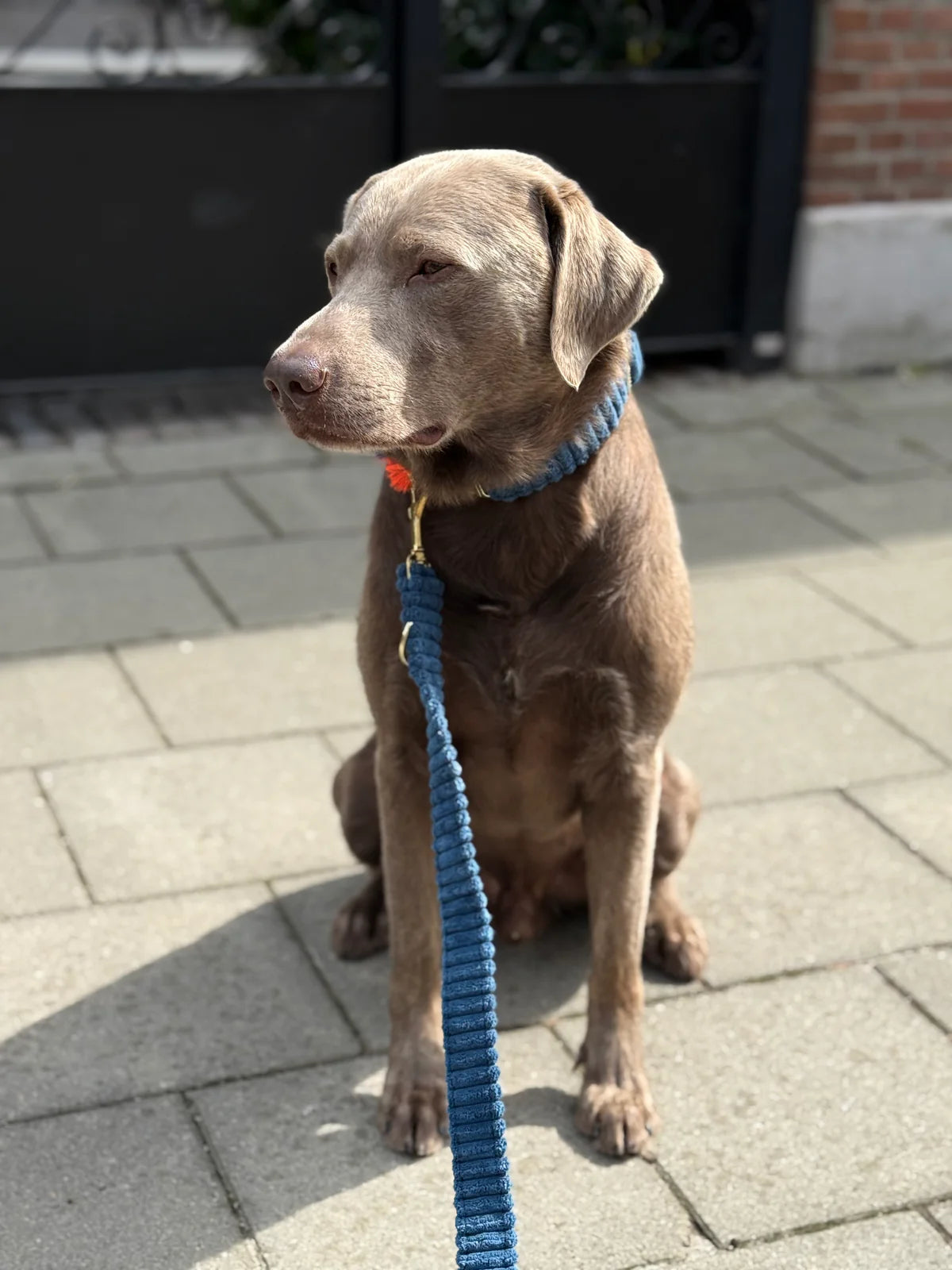 Flauschiger Deluxe Leiband Blau