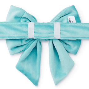 Wedding blue velvet Lady strik