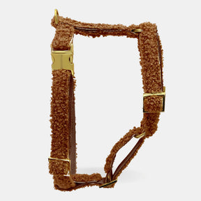Teddy cinnamon harness