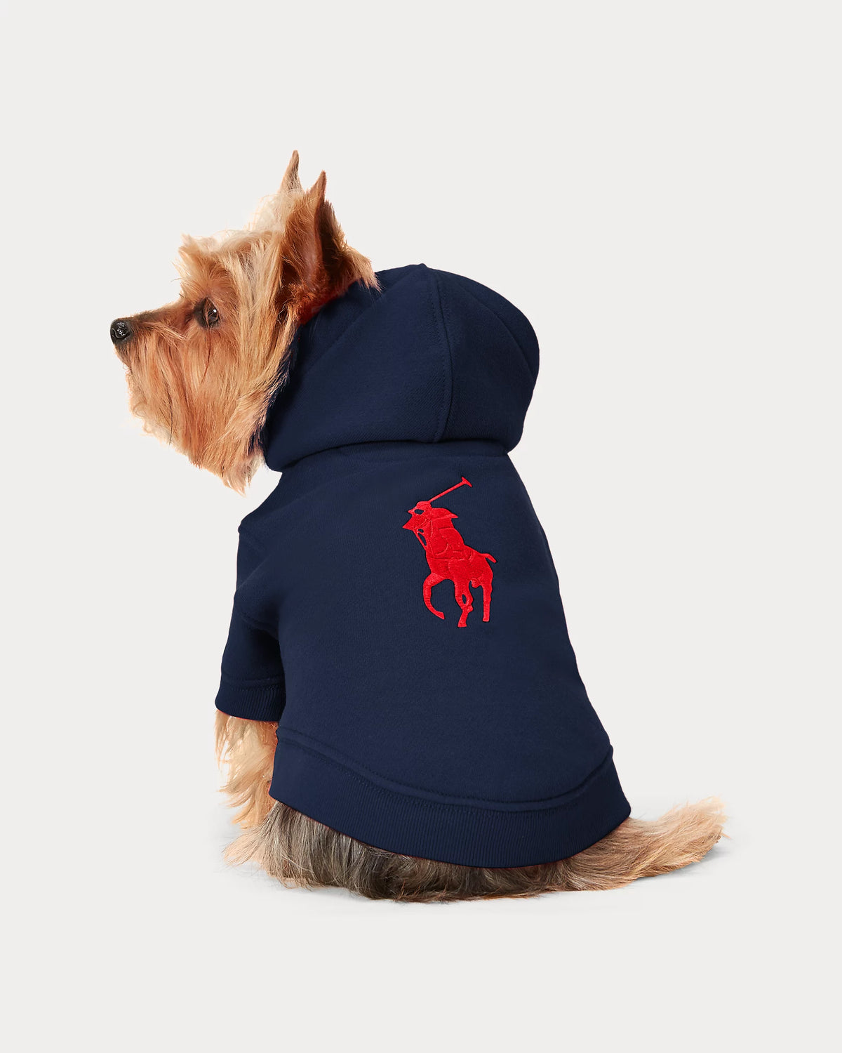 Ralph Lauren Fleece Hoodie Navy