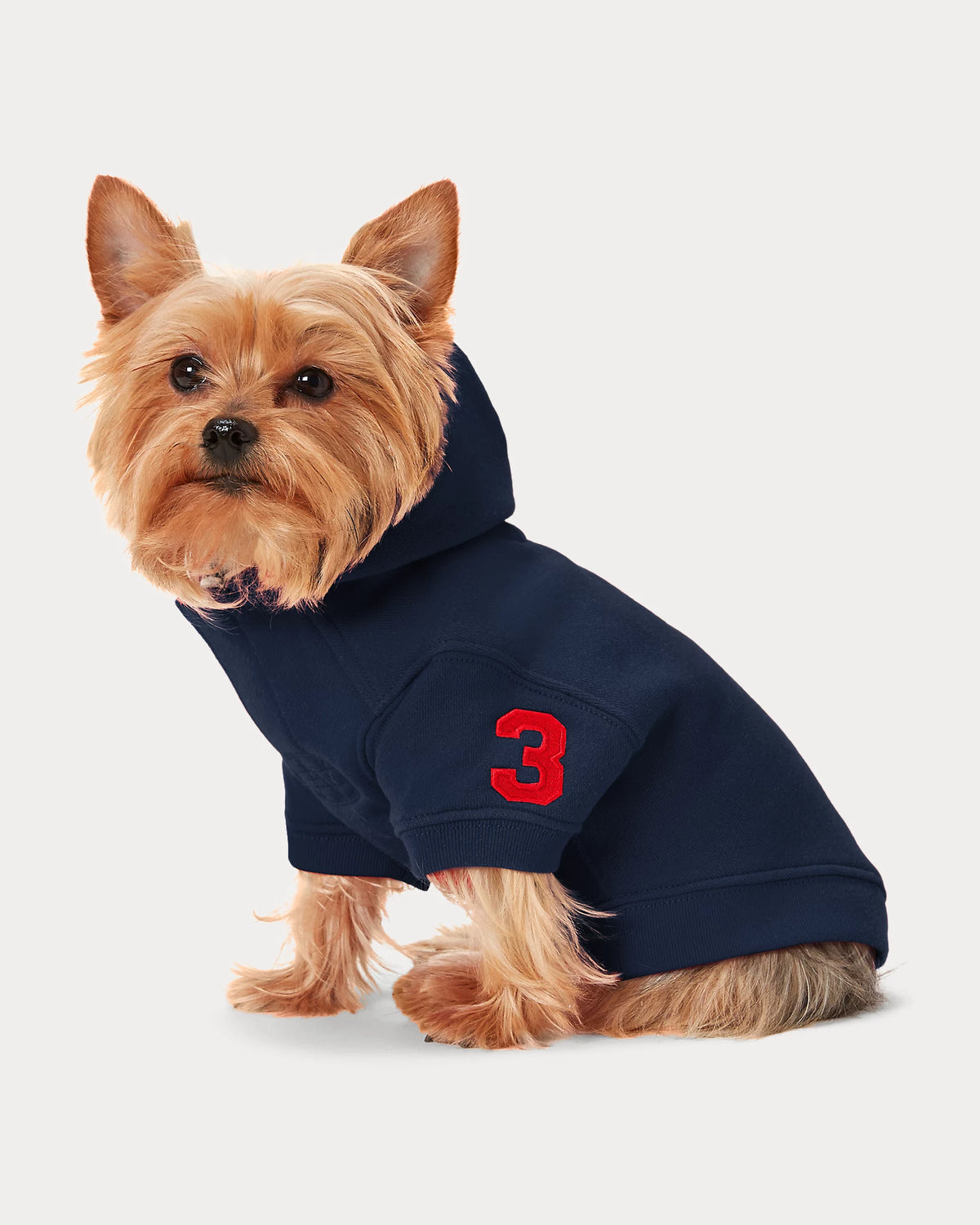 Ralph Lauren fleece hoodie Navy