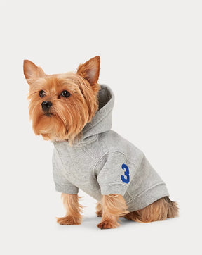 Ralph Lauren Fleece Hoodie Gray