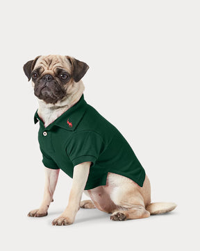 Ralph Lauren Polo College Green