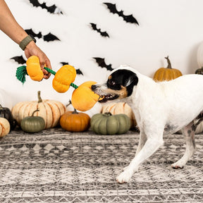 Pile-o-lantern