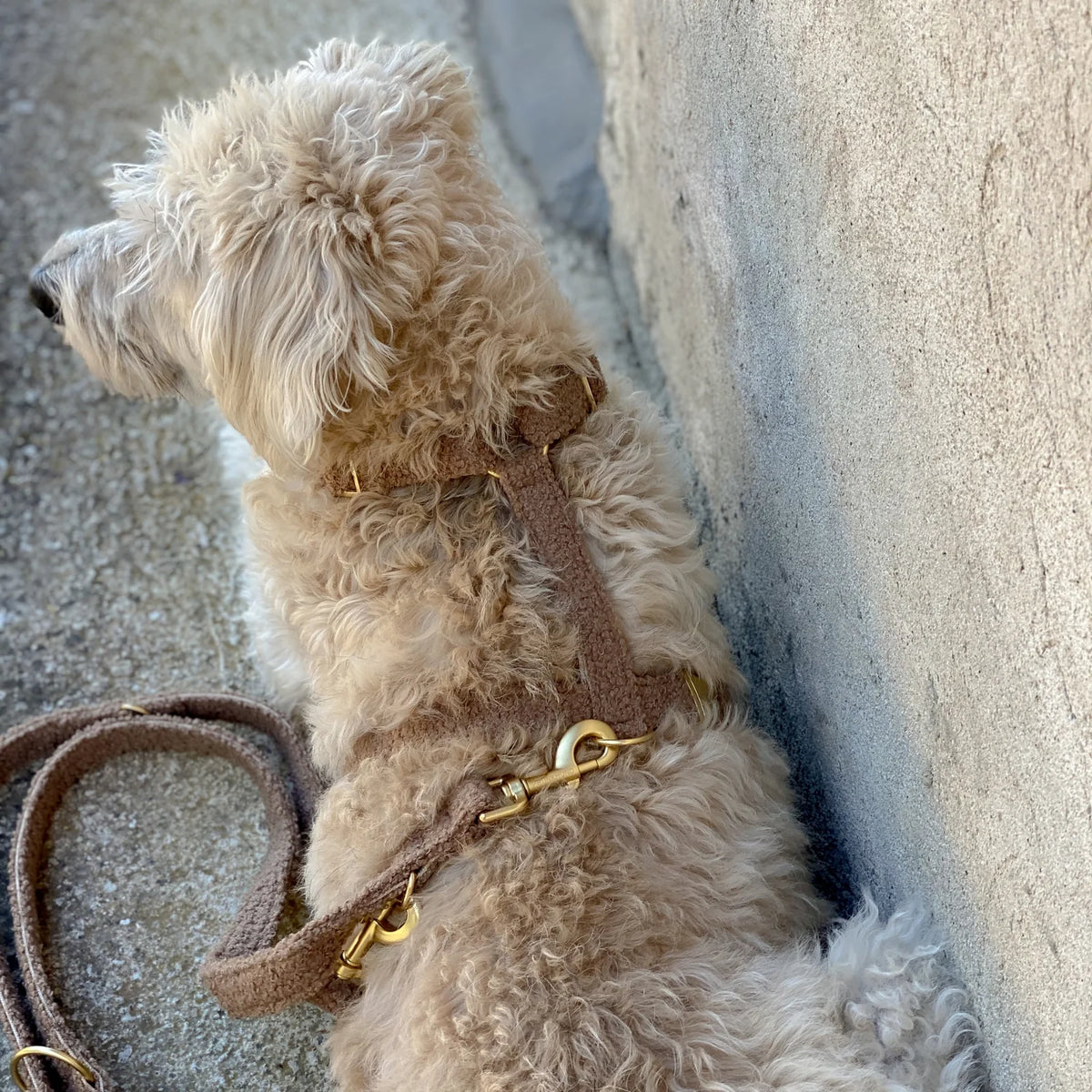 Collezione autunnale - Nutmeg per teddy regolabile Leiband