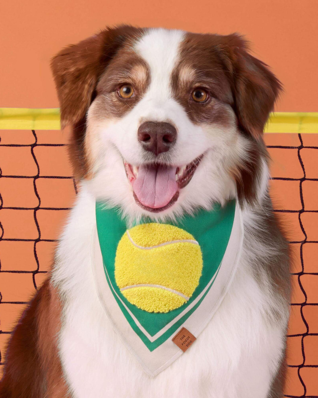 Ensemble de jeu Woof