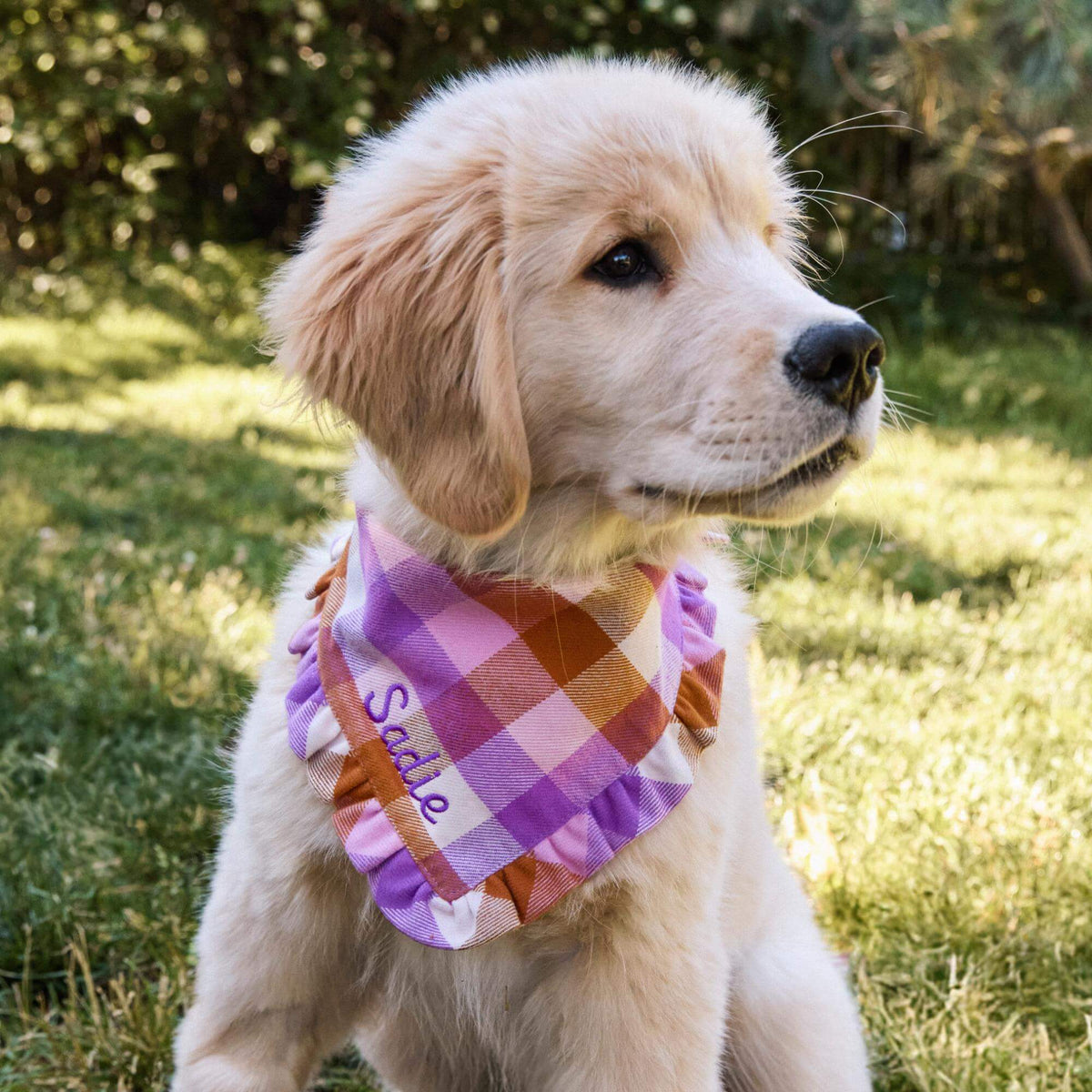 Bramble bandana