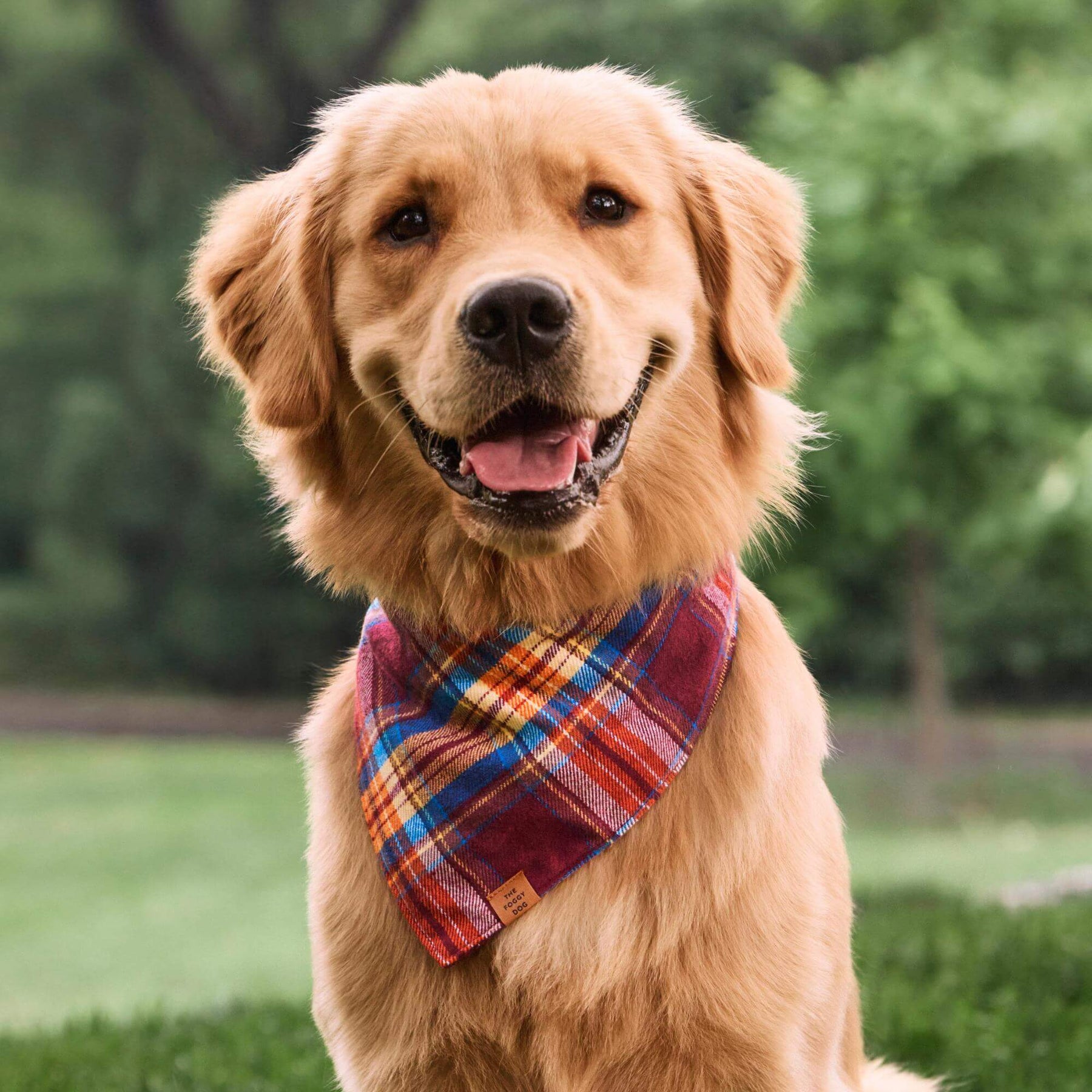Marlow flannel bandana