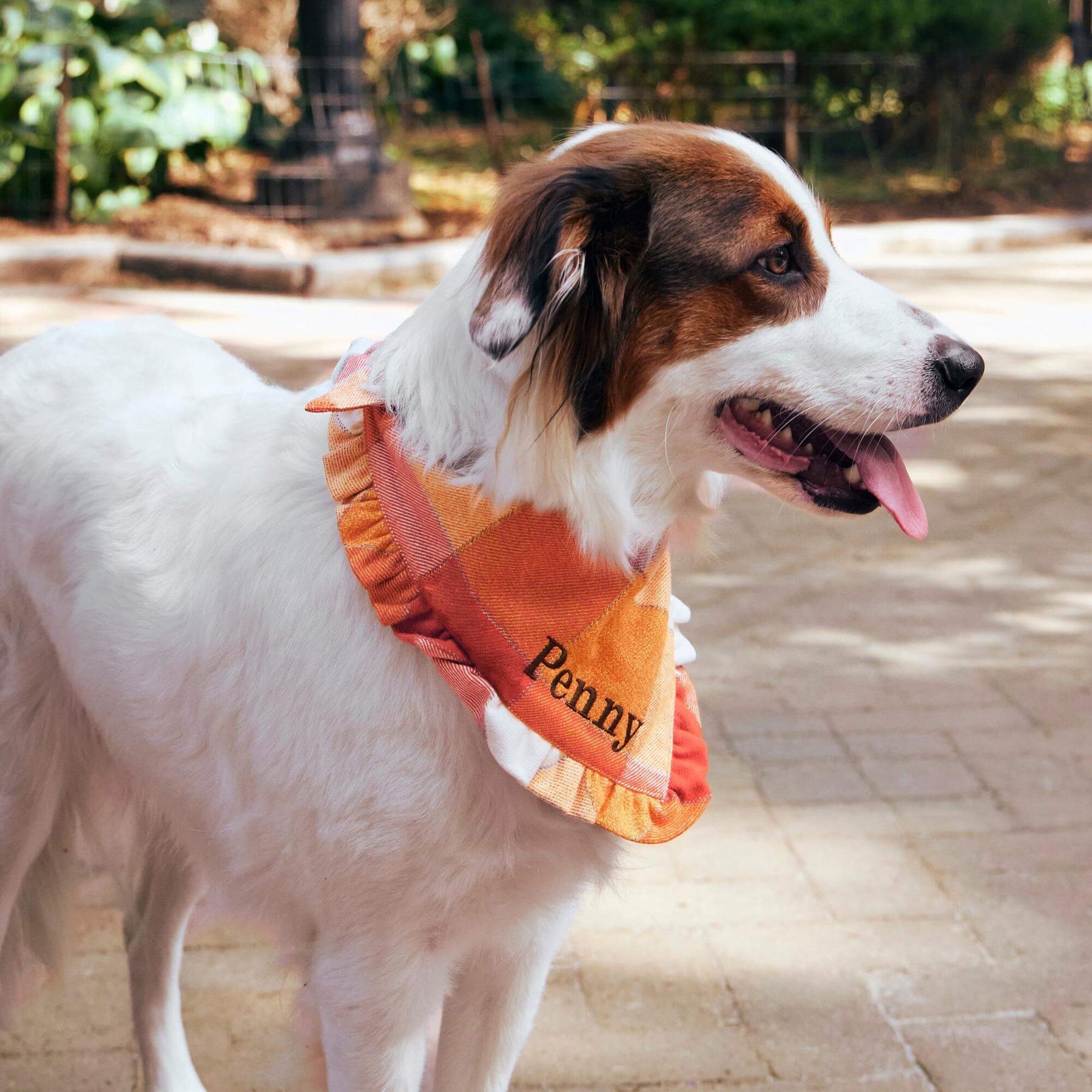 Lady Pumpkin Spice flannel bandana