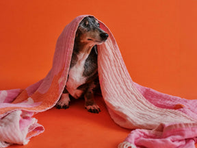 Sac de plage Doxie et serviette