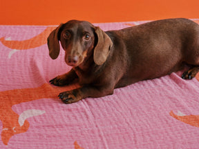 Sac de plage Doxie et serviette