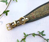 Olive Harris Tweed collar & leash set