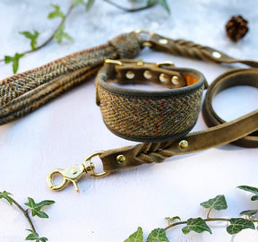 Olive Harris Tweed collar & leash set