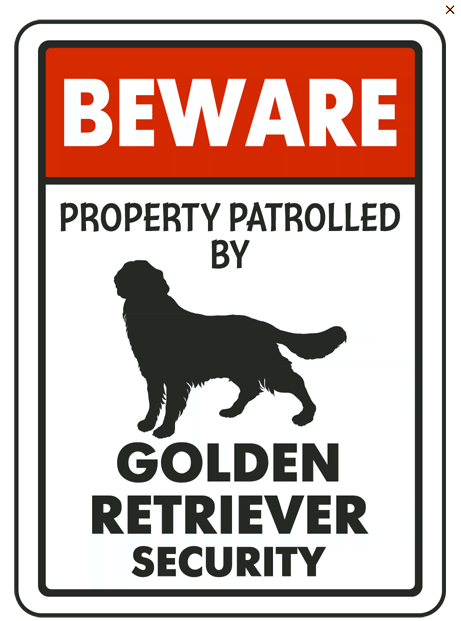 Golden Retriever on Patrol