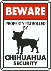 Chihuahua on Patrol