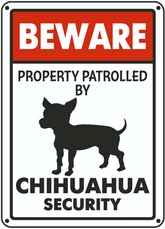 Chihuahua on patrol