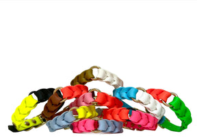 Candy Collection - Sweet Daisy