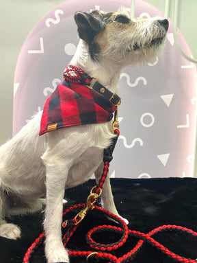 Red & Black Check Flannel Bandana