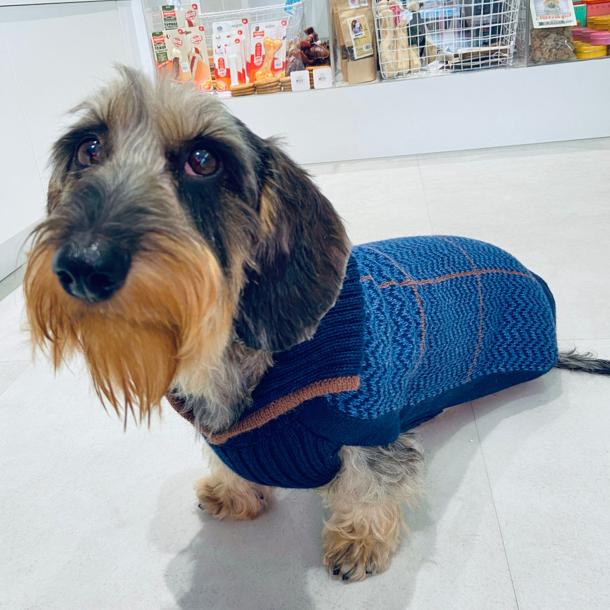 Blu preppy