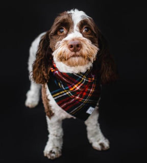 Stewart plaid wool bandana