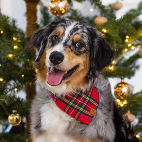 Christmas plaid flannel bandana