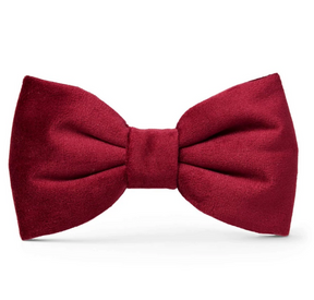 Wedding Burgundy Velvet strik