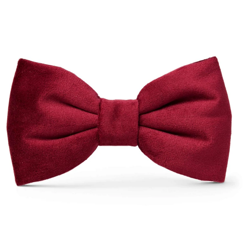 Hochzeit Burgunder Samtbogen