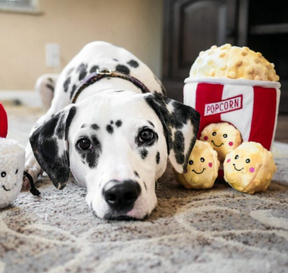 Popcorn