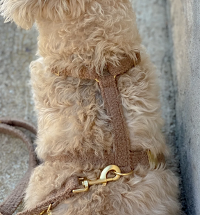 Autumn Collection - Leiband slim aanpasbaar Teddy Nutmeg