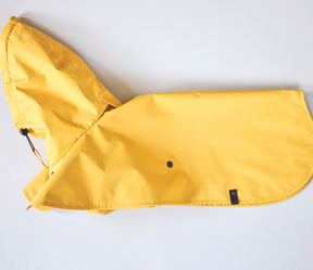 Regenmantel Parasoly.