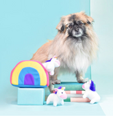 Einhorn und Regenbogen