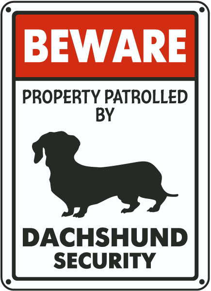 Dachshund on Patrol