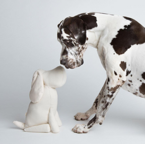 Deco Dog
