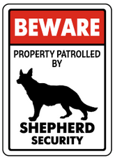 Sheperd on patrol