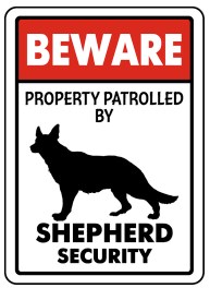 Sheppard on Patrol