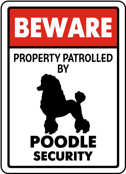 Poodle on Patrol