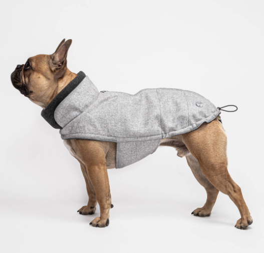 Flannel Gray - French Bulldog Special