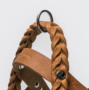 Central Park Saddle Camel harnas