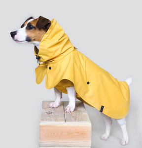 Raincoat Parasoly Whippet / Italian