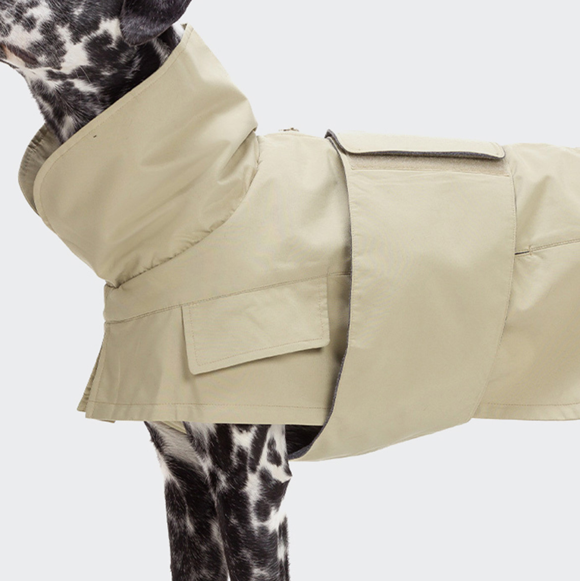 Trench de chien oxford ivory