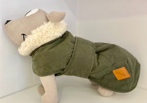 Eskimony groen - French Bulldog