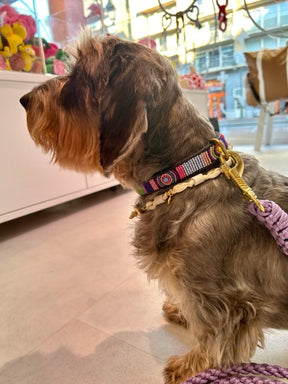 CHEW Mythical collection - leiband dark lavender