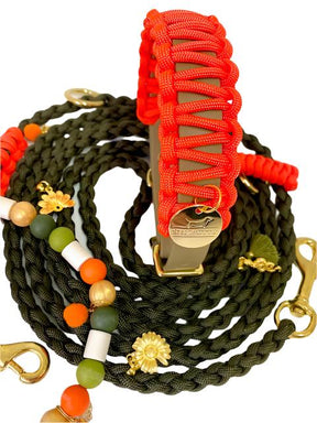 Neon Orange Classic collar